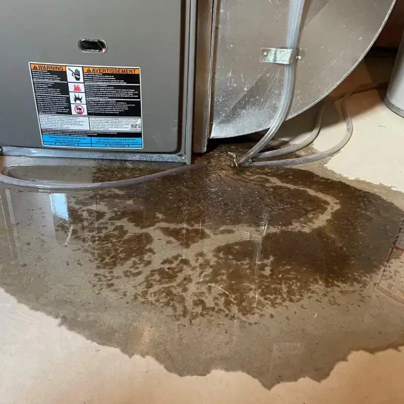 Appliance Leak Cleanup in Clinton County, MO